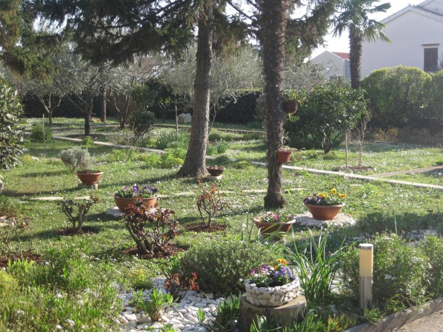 Apartment Ivan - With Large Terrace زادار المظهر الخارجي الصورة